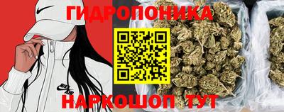 спиды Ипатово
