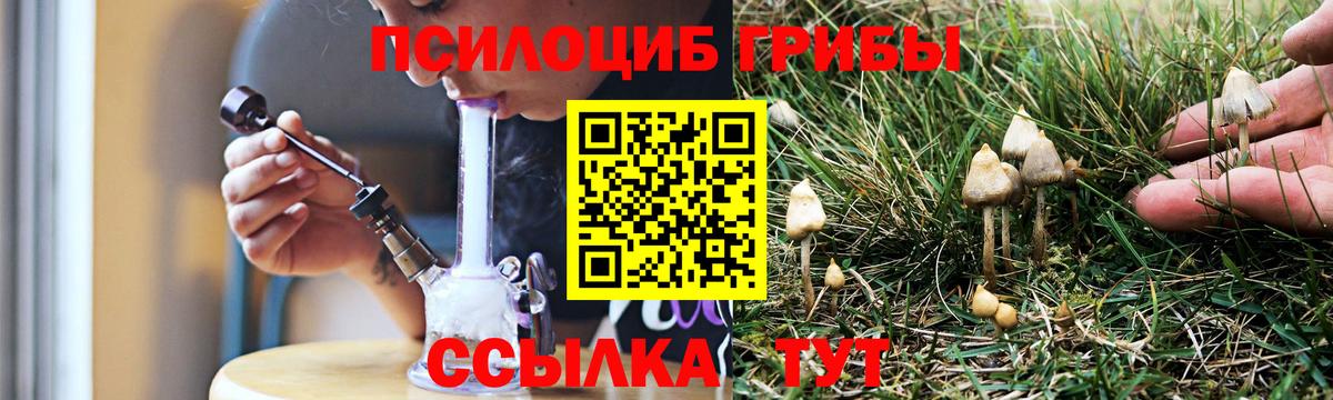 Галлюциногенные грибы ЛСД  Вход с VPN  Галлюциногенные грибы Psilocybe  Ликино-Дулёво 